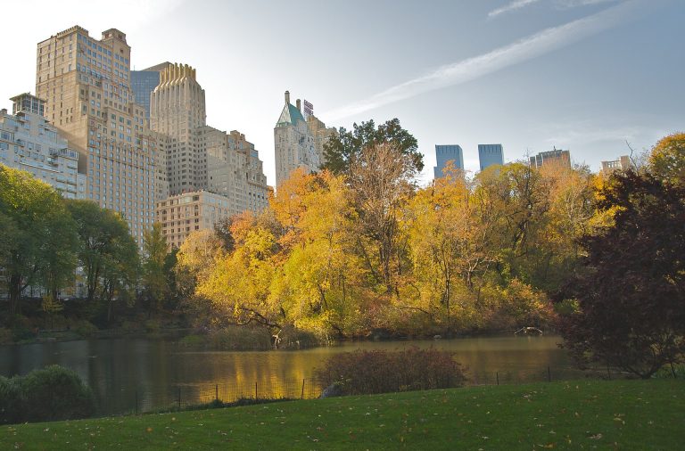 Autumn foliage along the paths of Central Park in New York City