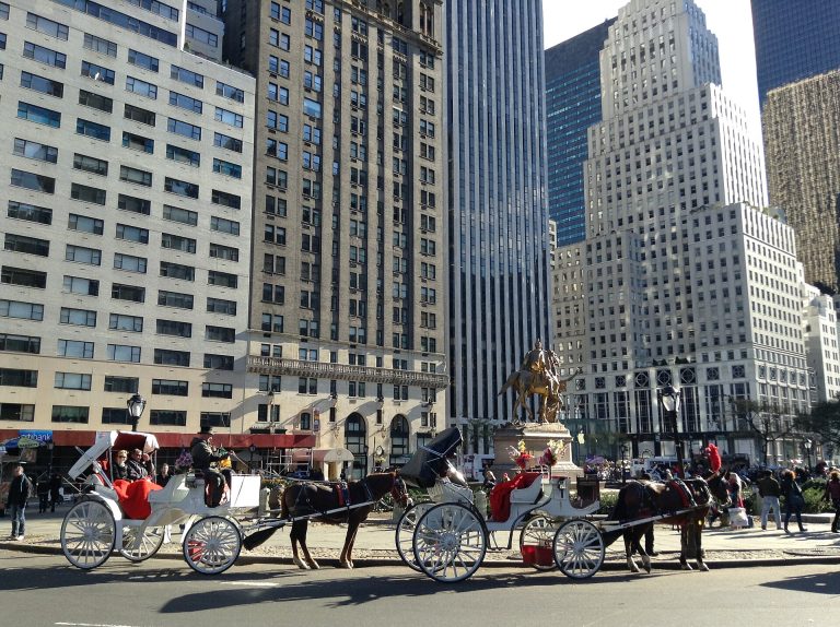 Midtown & Fifth Avenue NYC Neighborhood Street View